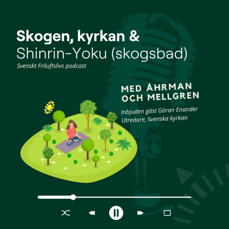 6. Skogen, kyrkan och Shinrin-Yoku (skogsbad)